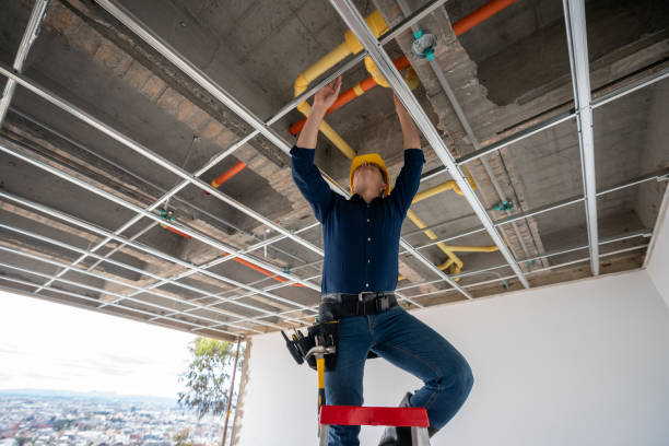 Best Clogged Drain Plumber  in Craig, CO