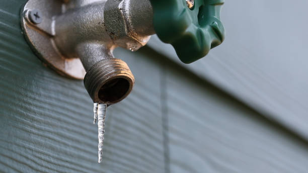Best Residential Plumbing Services  in Craig, CO